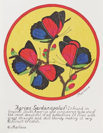 Agrias Sardanaplaus by Marlene Siff art print