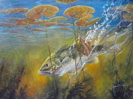 Caught Bass by Carol Decker art print