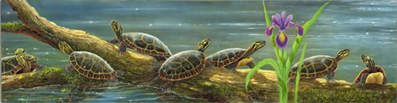 Suncatchers Painted Turtles by Carol Decker art print