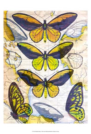 Butterfly Map I by John Butler art print