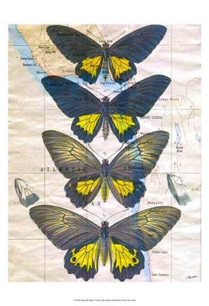 Butterfly Map II by John Butler art print