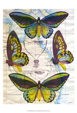 Butterfly Map III by John Butler art print