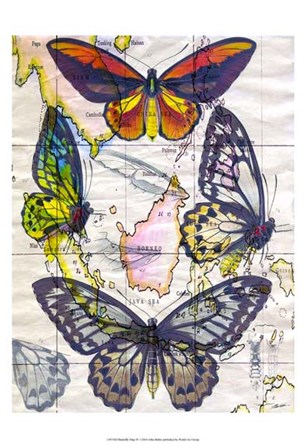 Butterfly Map IV by John Butler art print