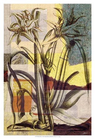 Lily Mix I by John Butler art print