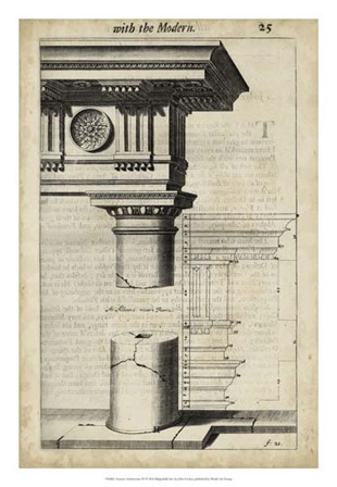 Ancient Architecture IV by John Evelyn art print