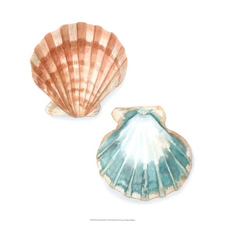 Watercolor Shells I by Megan Meagher art print