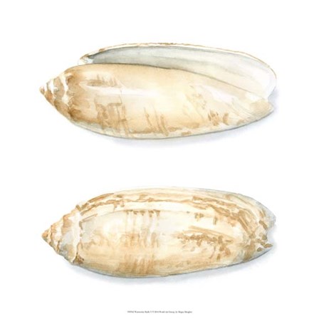 Watercolor Shells V by Megan Meagher art print