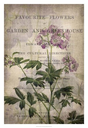 Favorite Flowers IV by John Butler art print