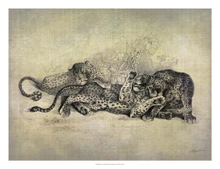 Big Cats I by John Butler art print