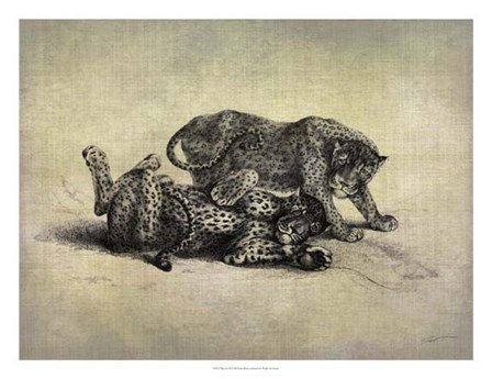 Big Cats II by John Butler art print