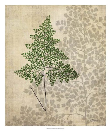 British Ferns I by John Butler art print