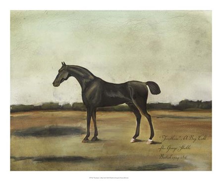 &quot;&quot;Trentham,&quot;&quot; A Bay Colt by Naomi McCavitt art print