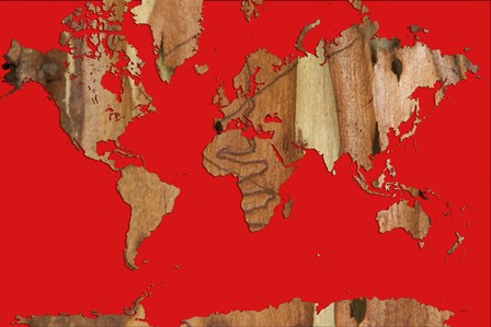 Wood Bark World Map 1 by Marlene Watson art print