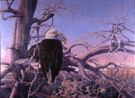 Bald Eagles by Gene Dieckhoner art print