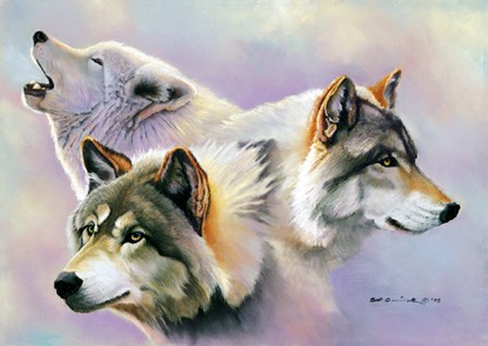Wolves are Forever by Bob Quick art print