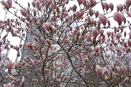 Springtime in New York by Erin Clark art print