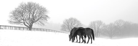 Grazing Pair by Erin Clark art print