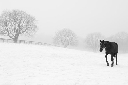 Walking In Fog by Erin Clark art print