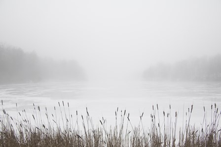 Foggy Reeds by Erin Clark art print
