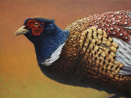 Pheasant by James W. Johnson art print
