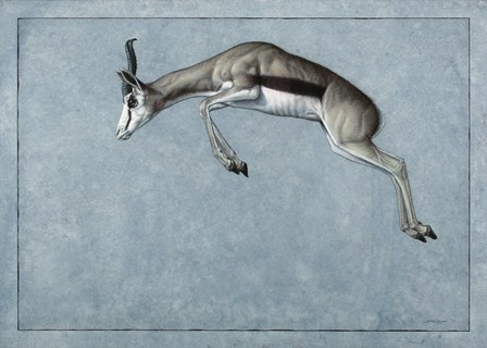 Springbok by James W. Johnson art print