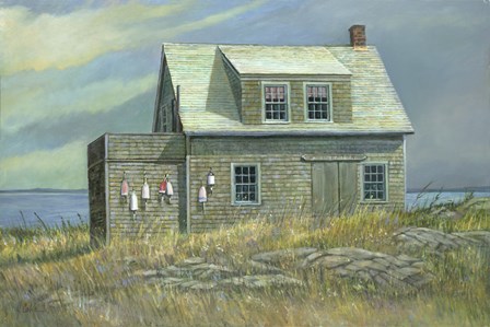 Island Rental by Jerry Cable art print