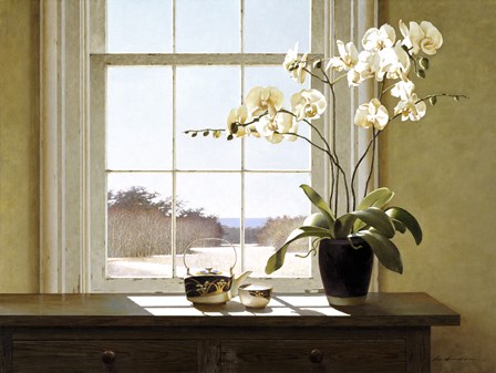 Orchids In The Window 2 by Zhen-Huan Lu art print