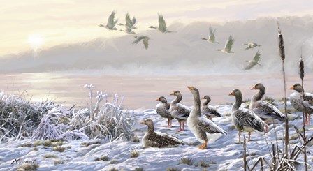 Winter River Geese by The Macneil Studio art print