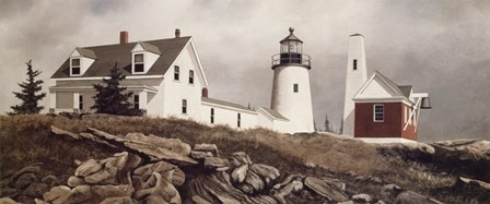 Pemaquid Point by David Knowlton art print