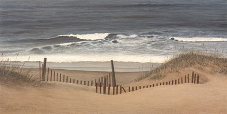 Outer Banks Beach by David Knowlton art print