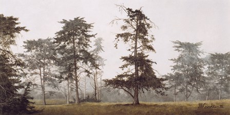 Misty Grove by David Knowlton art print