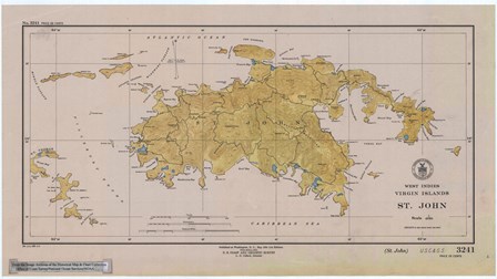 Map of St. John by Lantern Press art print