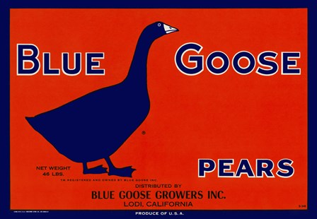 Blue Goose Pears by Print Collection art print