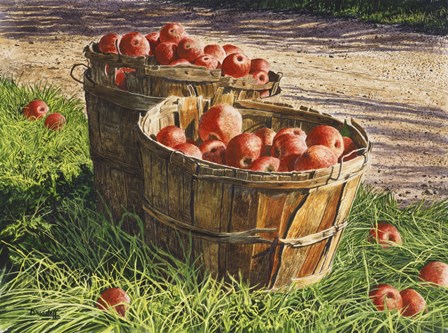 Apple Bushels by Michael Davidoff art print