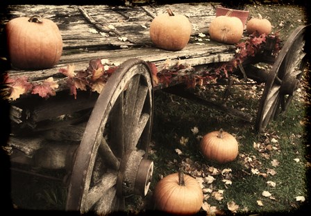 Pumpkin Wagon by Mindy Sommers art print