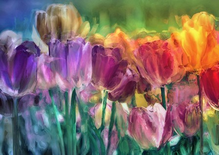 Tulip Farm by Mindy Sommers art print