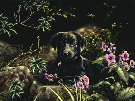In Amongst the Flowers by John Silver art print