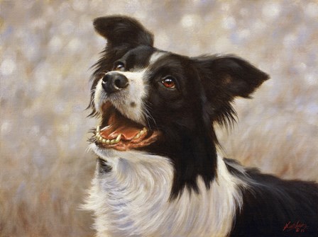 Border Collie 1 by John Silver art print