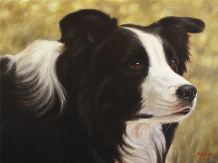 Border Collie 3 by John Silver art print