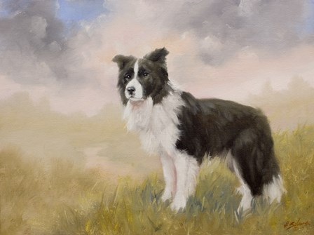 Border Collie 5 by John Silver art print