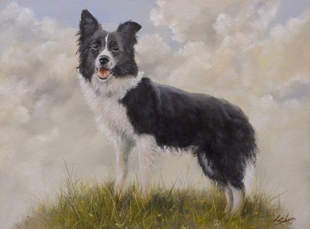 Border Collie 13 by John Silver art print