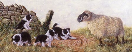 Minding the Ram by John Silver art print