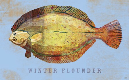 Winter Flounder by John W. Golden art print