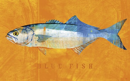 Bluefish by John W. Golden art print
