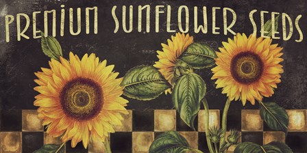 Sunflowers by Color Bakery art print