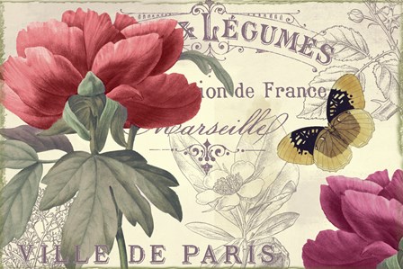 Petals of Paris V by Color Bakery art print