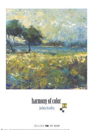 Harmony of Color I by Joshua Bradley art print