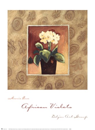 African Violets by Maria Eva art print