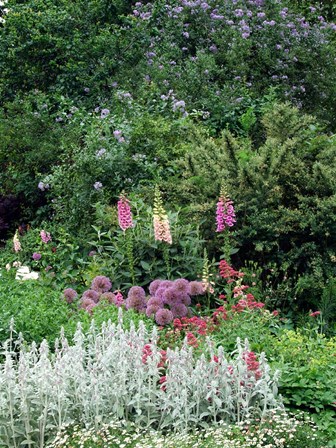 Nash Garden, St James Park, London, England by Alex Bartel / Danita Delimont art print