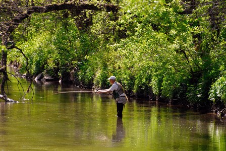 The Fishing Hole by Doug Ohman art print